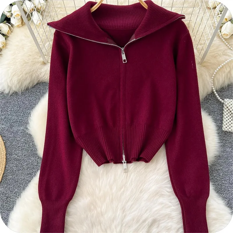 Spring Autumn Women Long Sleeve Sweater Jacket 2026 Female Lapel Knitting Coat Korean Lady Fashion Loose Zipper Knitted Cardigan - Detail 1