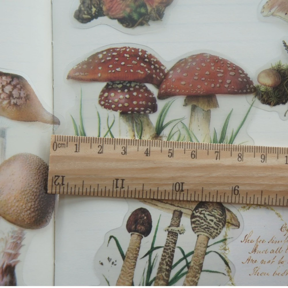 40pcs Colorful Natural Wild Mushroom Style Transparent Sticker Scrapbooking DIY Gift Packing Label Gift Decoration Tag