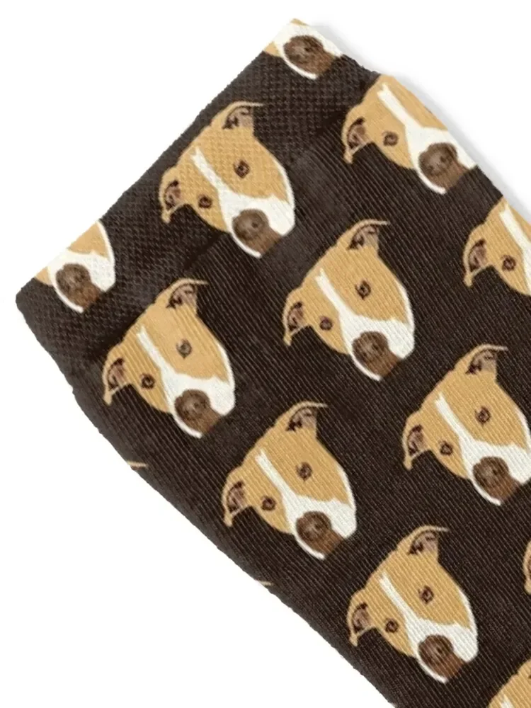 جوارب باتي بيتبول هدية جوارب المشي لمسافات طويلة هدايا مضحكة جوارب رجالية نسائية