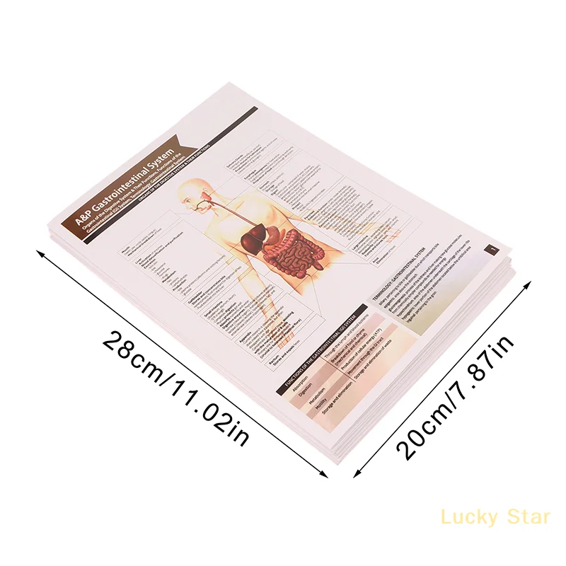 Anatomy & Physiology Study Guides - Set Of 10 Human Anatomy Guides For Nursing Students Medical Professions