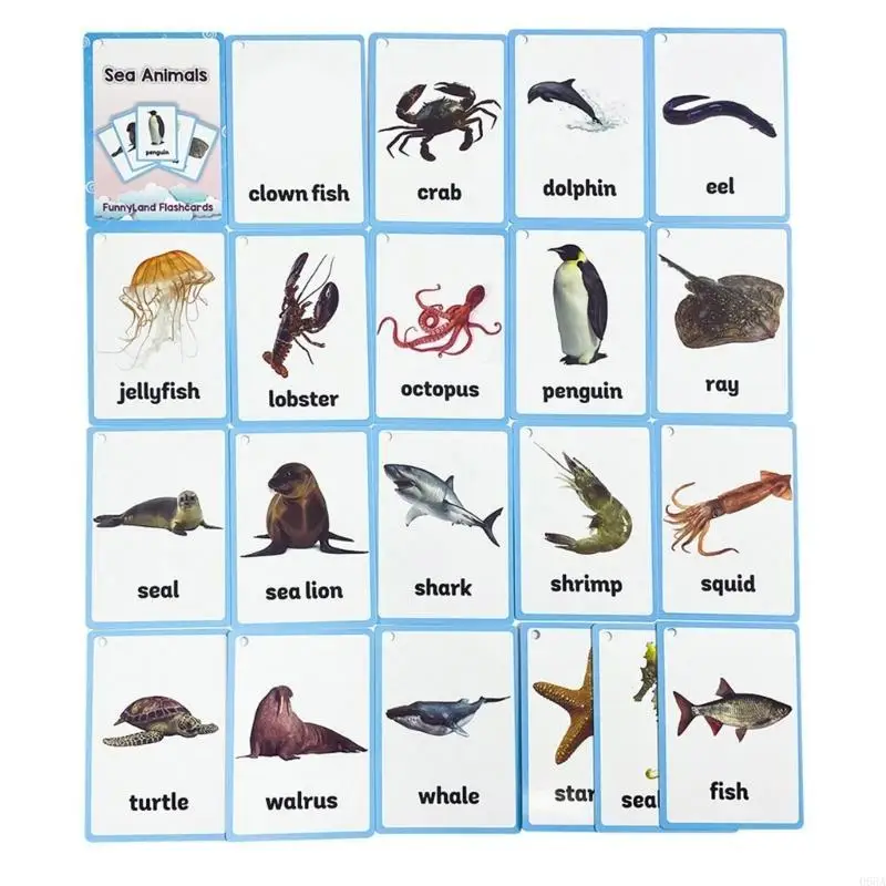20sheet Sea Animal Vocabulary Flashcards بطاقات كلمات الحياة البحرية لرياض الأطفال #6