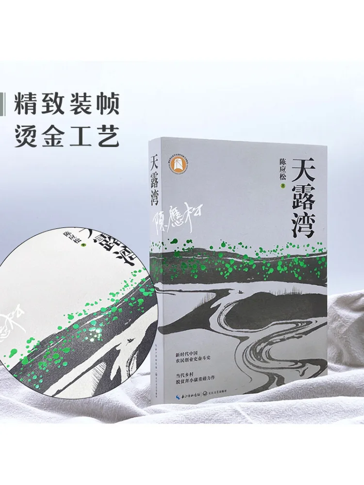 Book-Winshare Tianlu Bay a Novel By Chen Yingsong a Major Work on Rural Poverty Alleviation and the Pursuit Of a Better Life