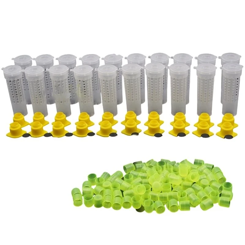 Bee Cages Plastic Catcherbox Cellcups King Queen Rearing System 1Set-[ToolMr A83]
