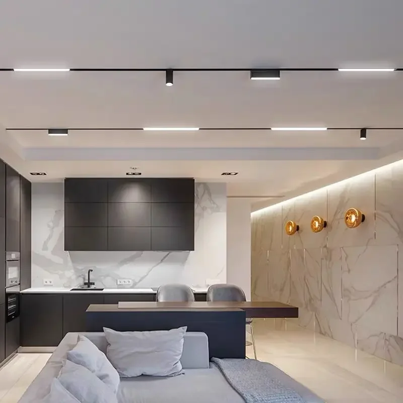 20 نوع الذكية المغناطيسي أضواء المسارات تويا DC48V مصابيح السقف المغناطيس بقعة الفيضانات مصبغة مصباح غرفة المعيشة الحديثة المنزل أسود أبيض