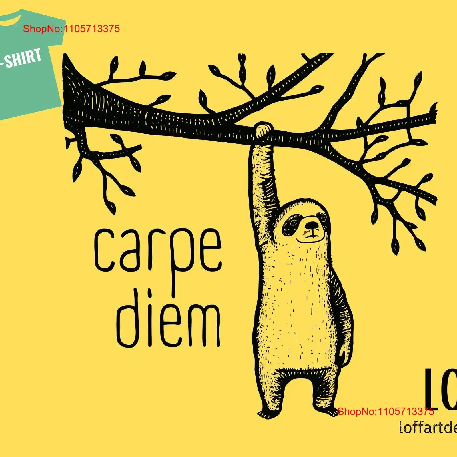 Carpe Diem climbing Seize the Day with our Unique 'Carpe Diem' T Shirt Minimalist funny Sloth Zen Motivation vintage Washed