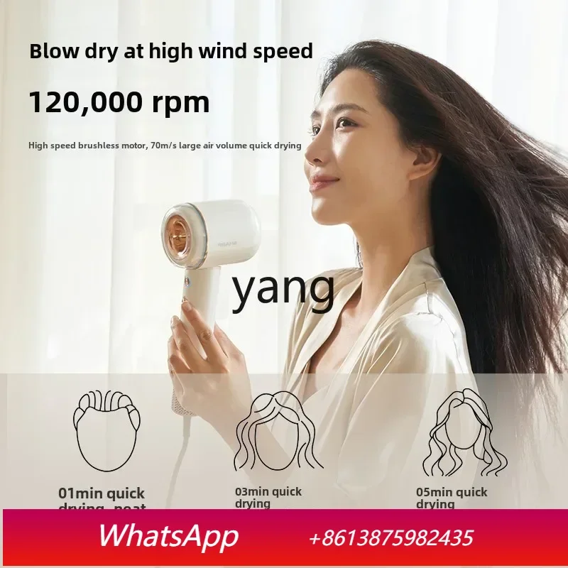 

lcx high-speed hair dryer household high-power negative ion constant temperature hair dryer