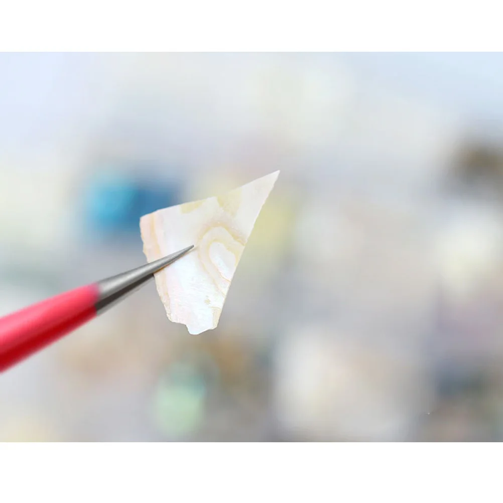 2 set 2 sets natuurlijke schelpvlok decor manicure accessoires diy mode nail art decoratie voor vrouwen lichtgewicht duurzame nagel