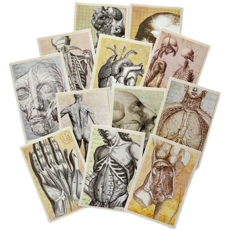 12 Pcs Biological Anatomy Skeleton Vintage Sticker Junk Journal Ephemera Heart Collage Aesthetic Stickers Scrapbooking Material