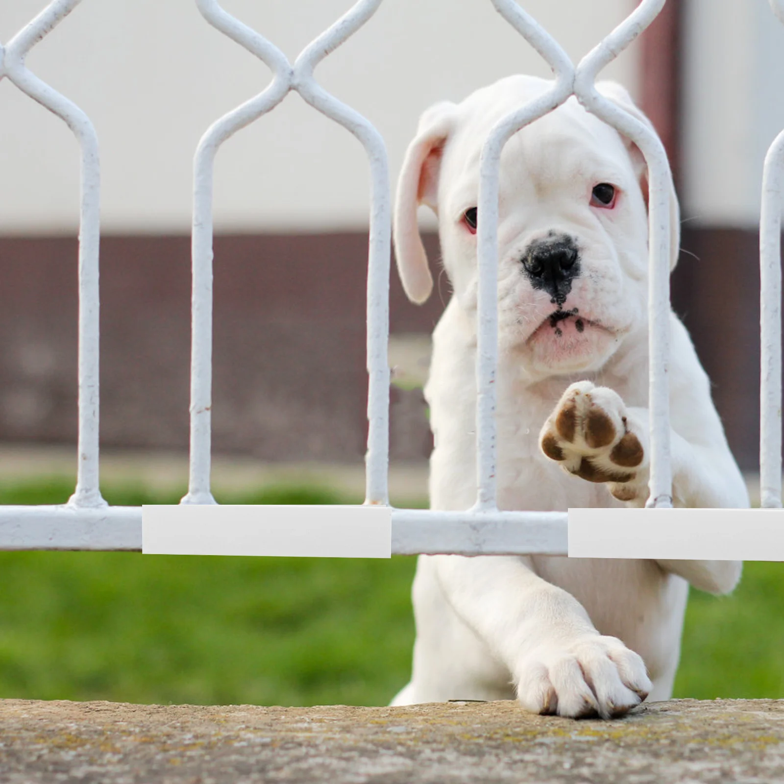 

5pcs U Shape Pet Gate Groove Reinforcement Support For Dog Childproof Fence Durable Plastic Safety Barrier Infant Protection