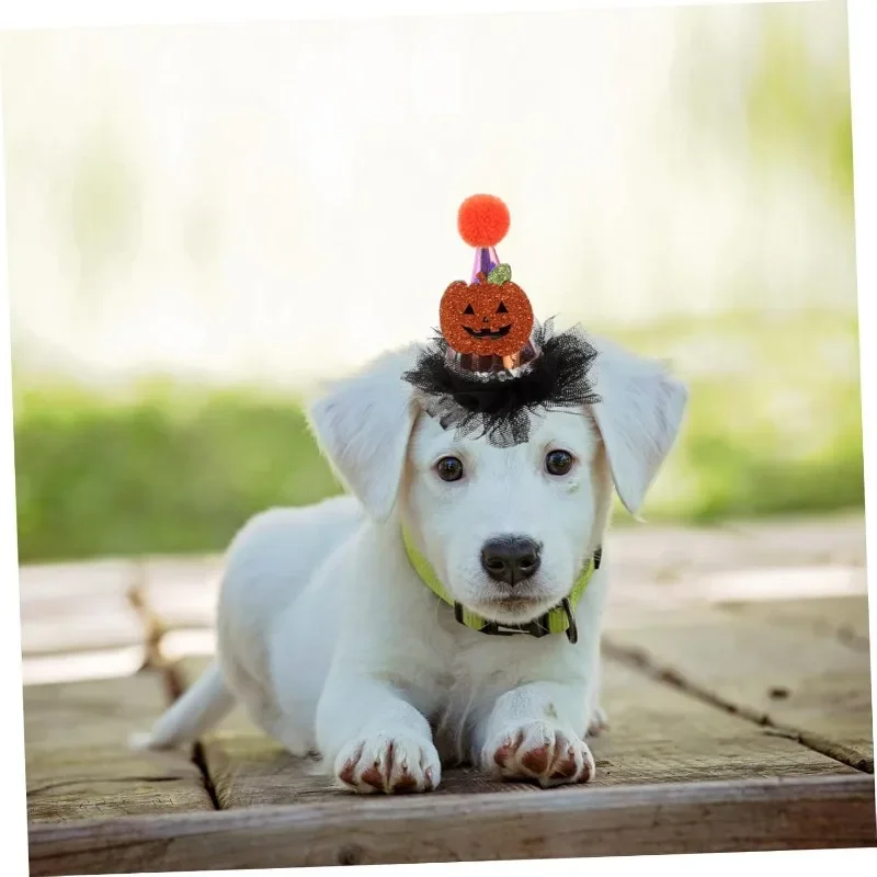 

Halloween Dog Hats Headgear Pumpkin Cute Cat Hat for Pet Supplies Halloween Decor Polyester Party Puppy Accessories