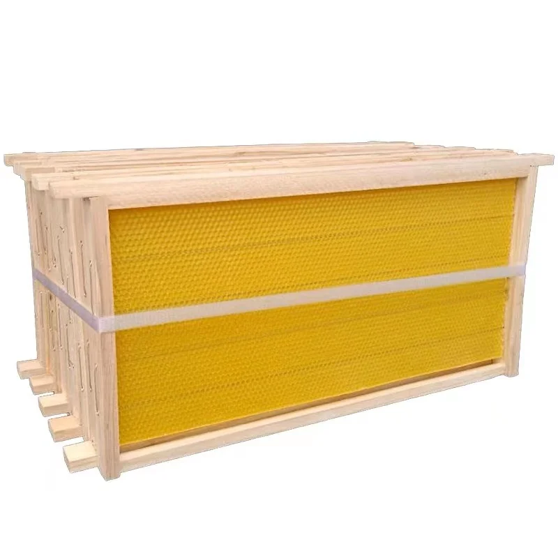 

China Bee Finished Nest Frame Italian Bee Basic Frame Spleen Beeswax Fir Beehive Special Full Set of Beekeeping T