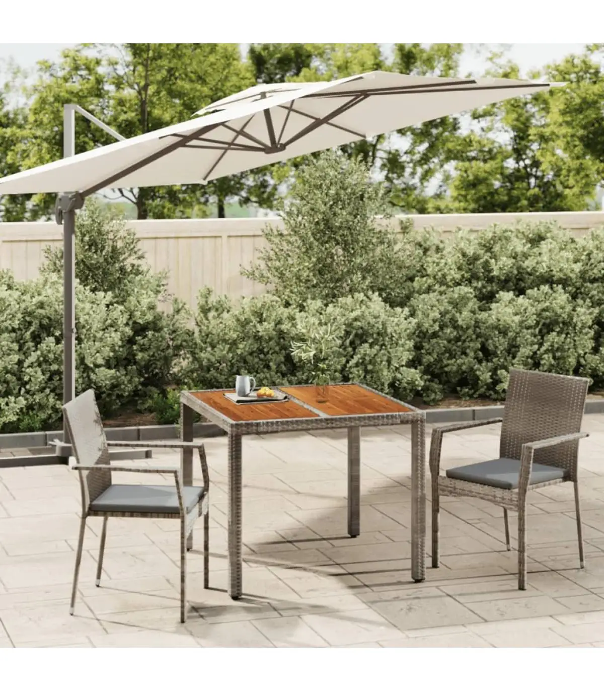 Garden sets garden dining room Set 3 pieces with gray synthetic rattan cushions