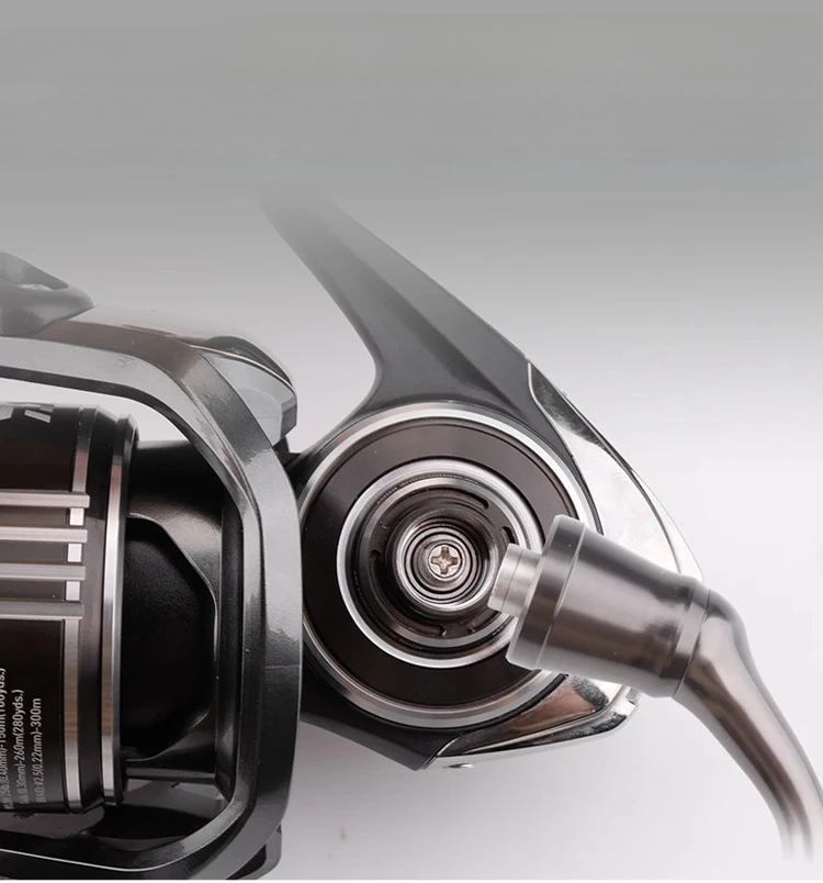 L # For Bg Mq Spini…