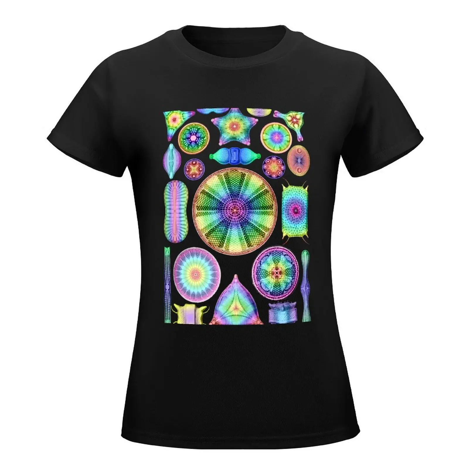 Ernst Haeckel Rainbow Diatoms T-Shirt Short sleeve tee Female clothing lady clothes summer clothes for Women