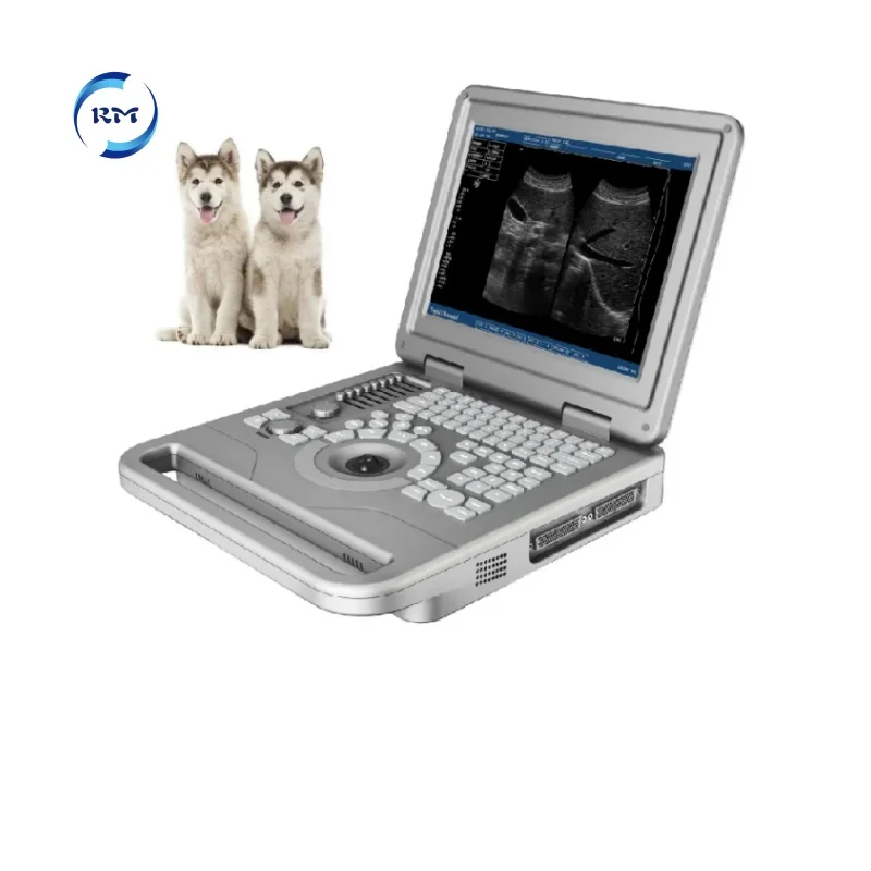 Medical Equipment LED 12 Inch HD Displayer Portable Diagnostic System Ultrasound  Machine With Convex Probes for Animals