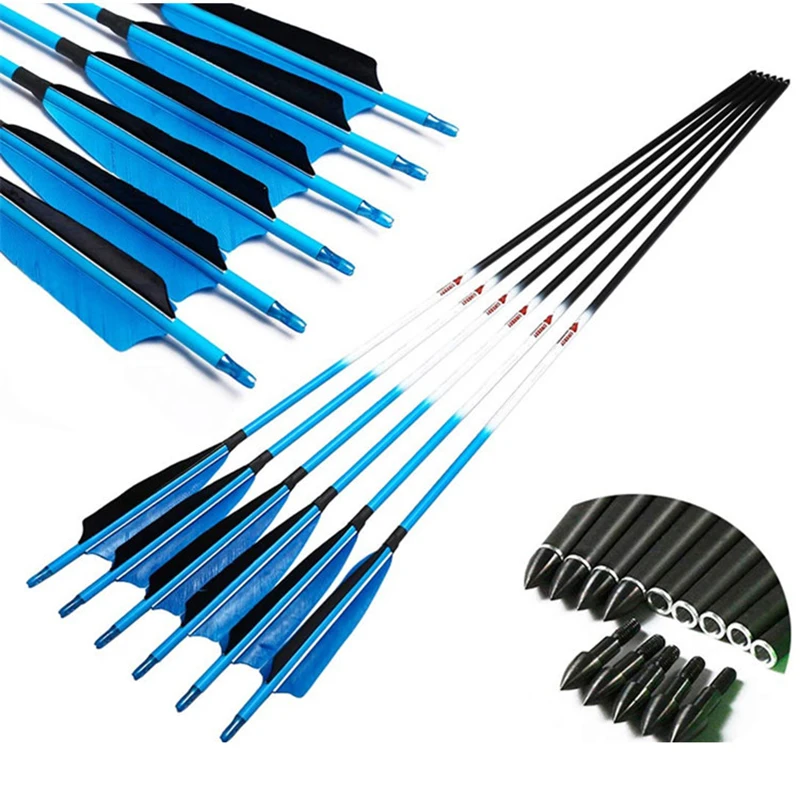 

Pure Carbon Arrow Arrows for Shooting, Turkey Feather, Luminous Blue Arrow, ID6.2mm Spine, 340, 400, 500, 5Inch, 12Pcs