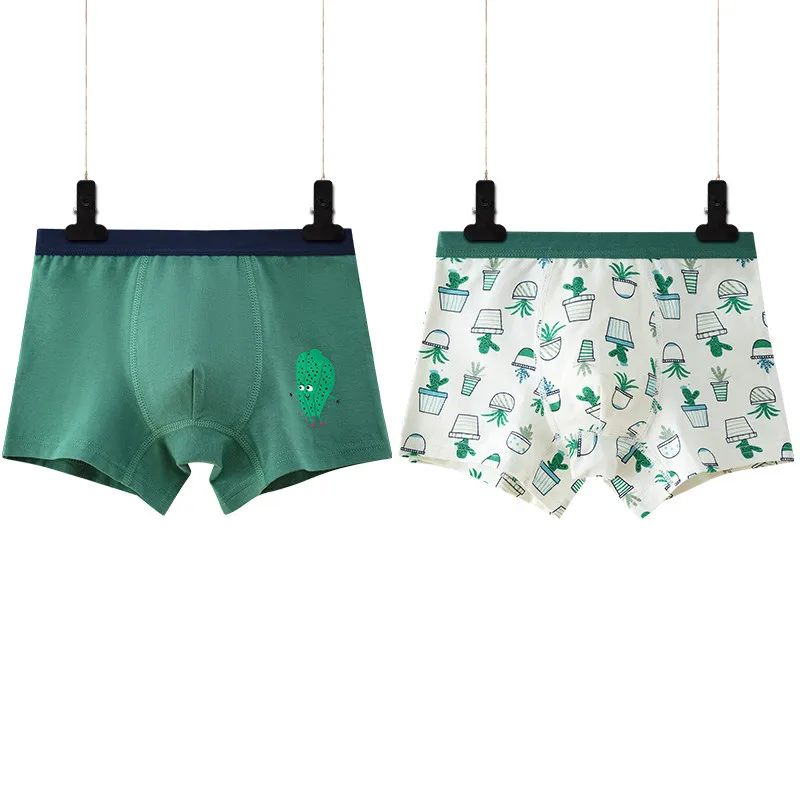 2pcs/lot Green Boy Underwear Boxer All Seasons Boy Cotton Underpanties Kids Clothes 3 4 6 8 10 12 14 Years Old OKU203020