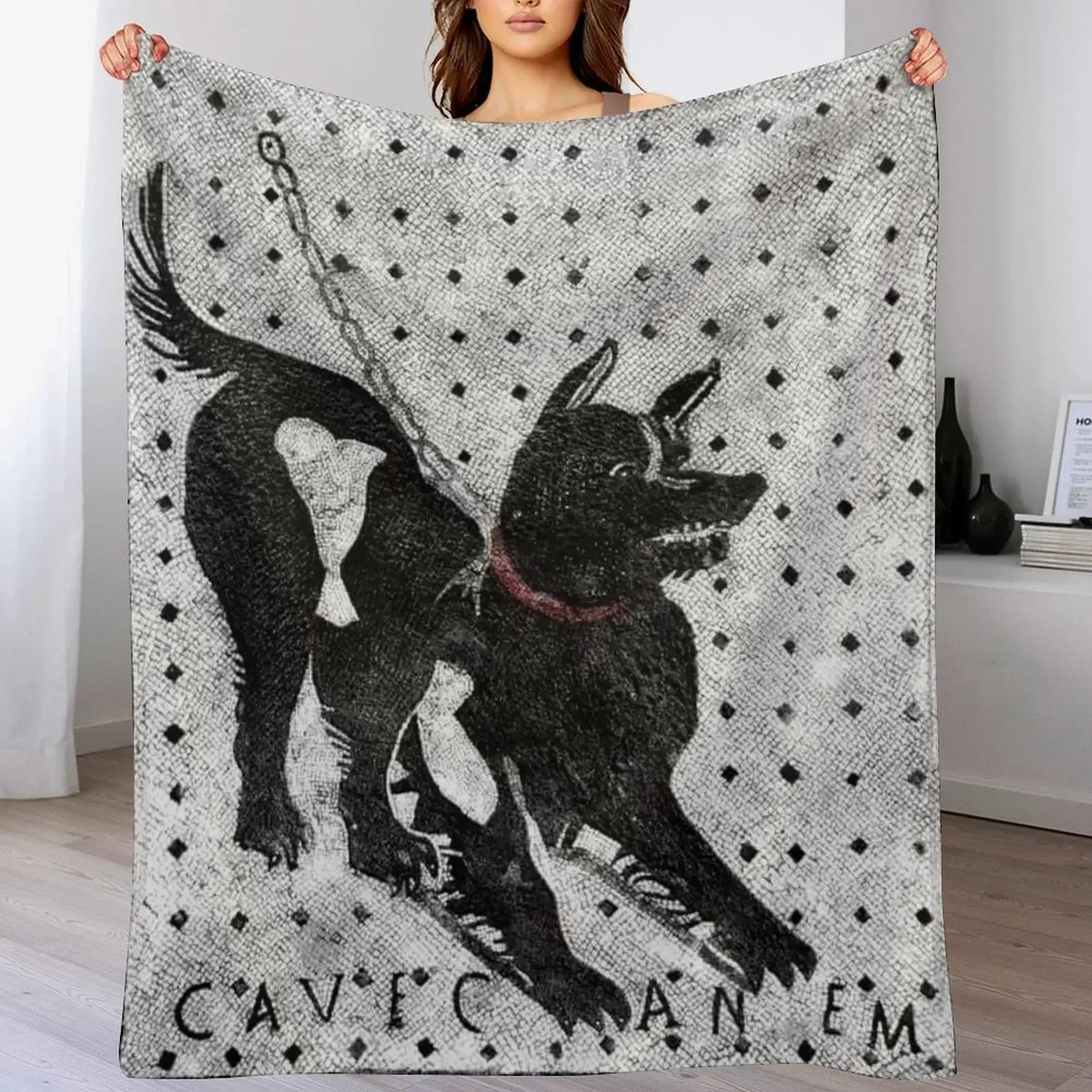 

Cave Canem - Beware of Dog - Pompeii Latin Mosaic Throw Blanket Tourist for sofa Camping Plaid on the sofa Blankets