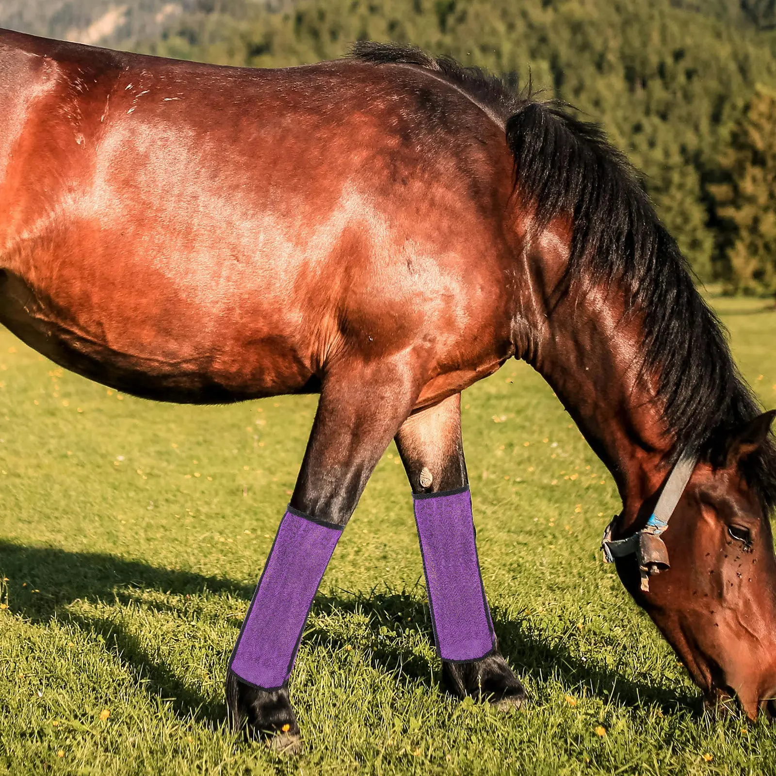 4pcs Horse Fly Boots Mesh Leg Protection Net Cover with Built-in Support Bars, Breathable & Comfortable