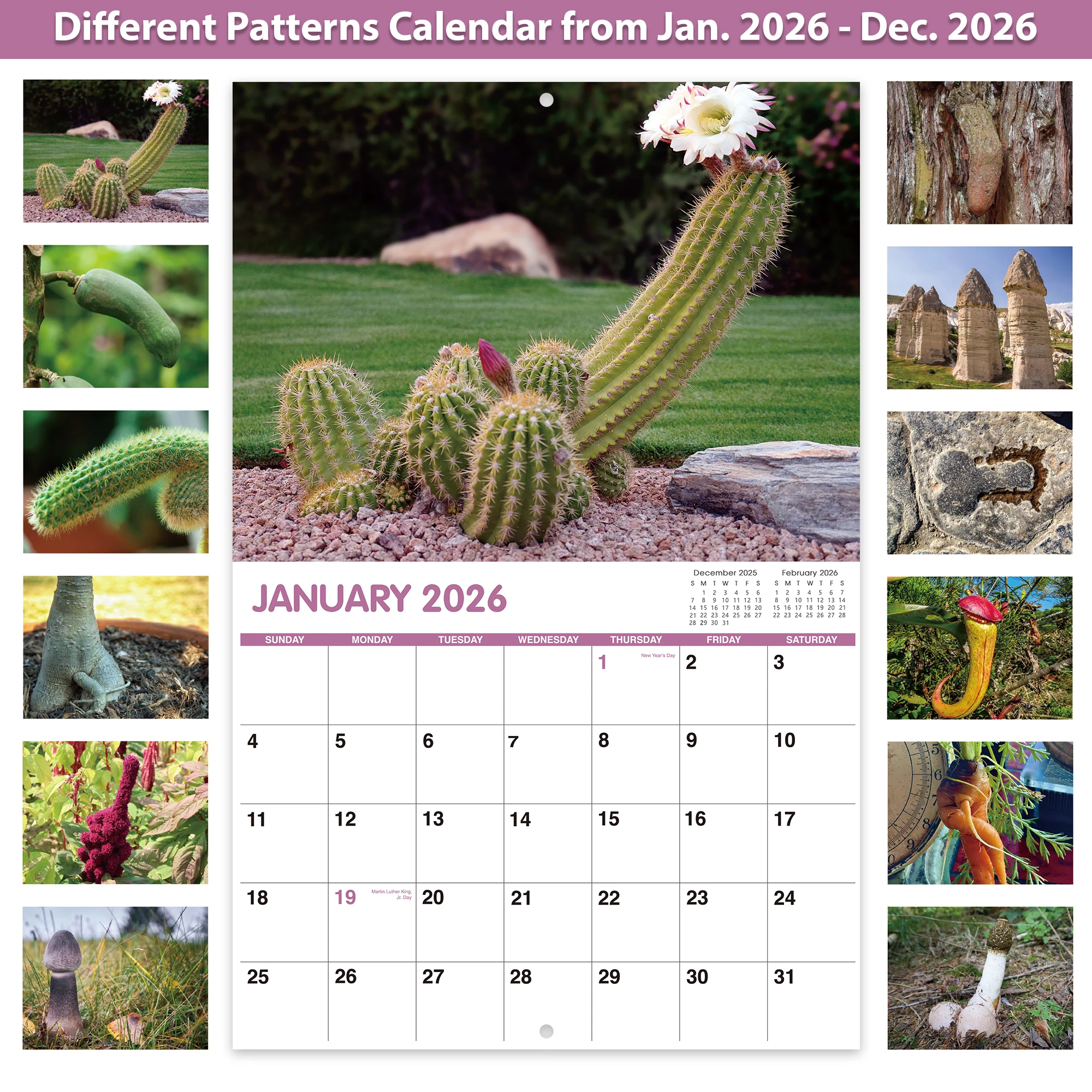 هدايا الكمامة - تقويم حائط مضحك 2026 مع ورق سميك و12 رسوم توضيحية صبار مضحكة ديكور مكتب هدية مخطط مضحك لمدة 12 شهرًا #4