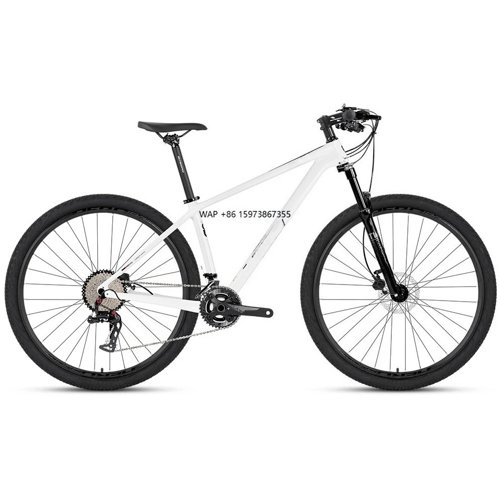 

Hydraulic Disc Brake 12S Cycle Carbon Fiber Frame Bicycle MTB Thru-Axle Mountain Bike with Excellent Performance
