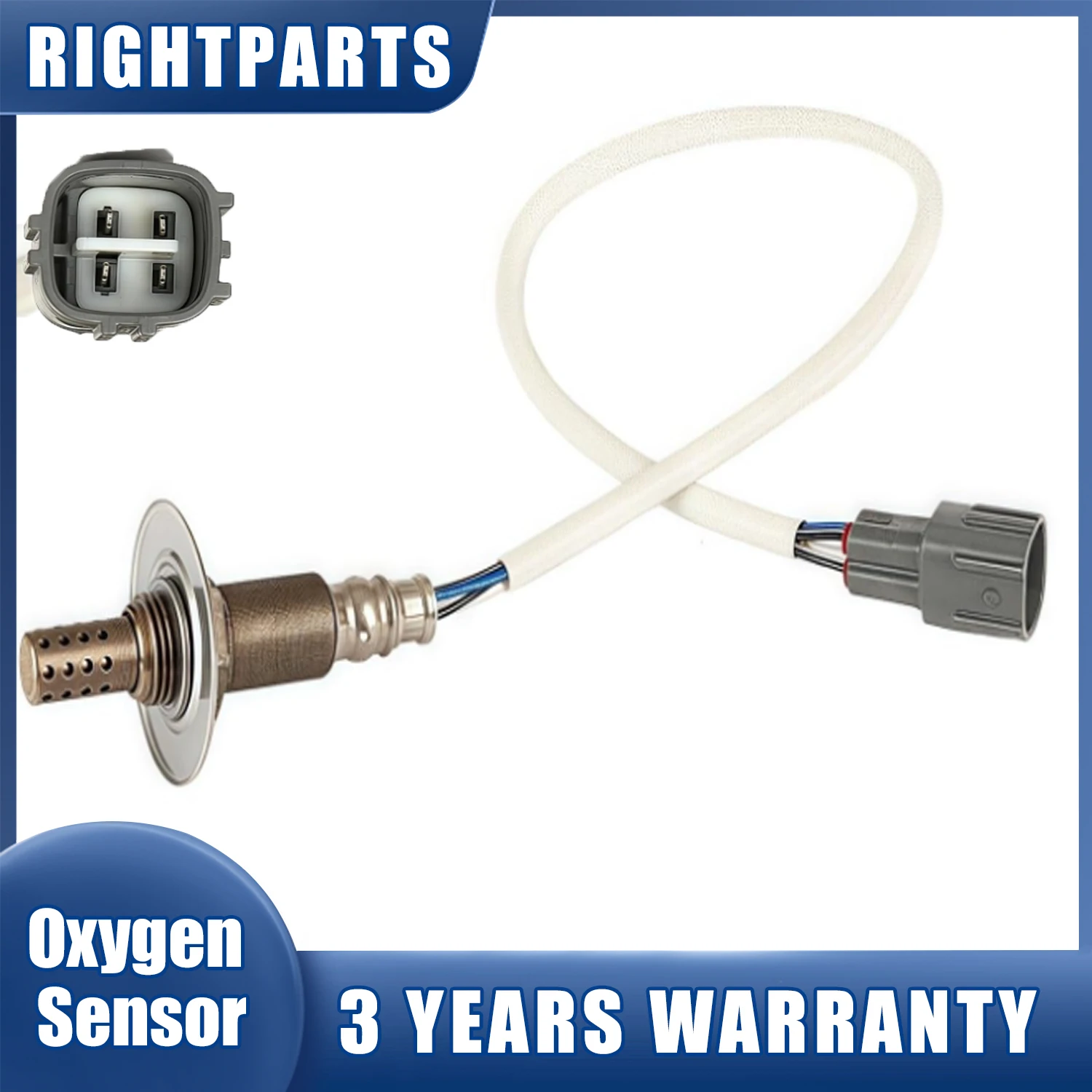 New Downstream Lamb…