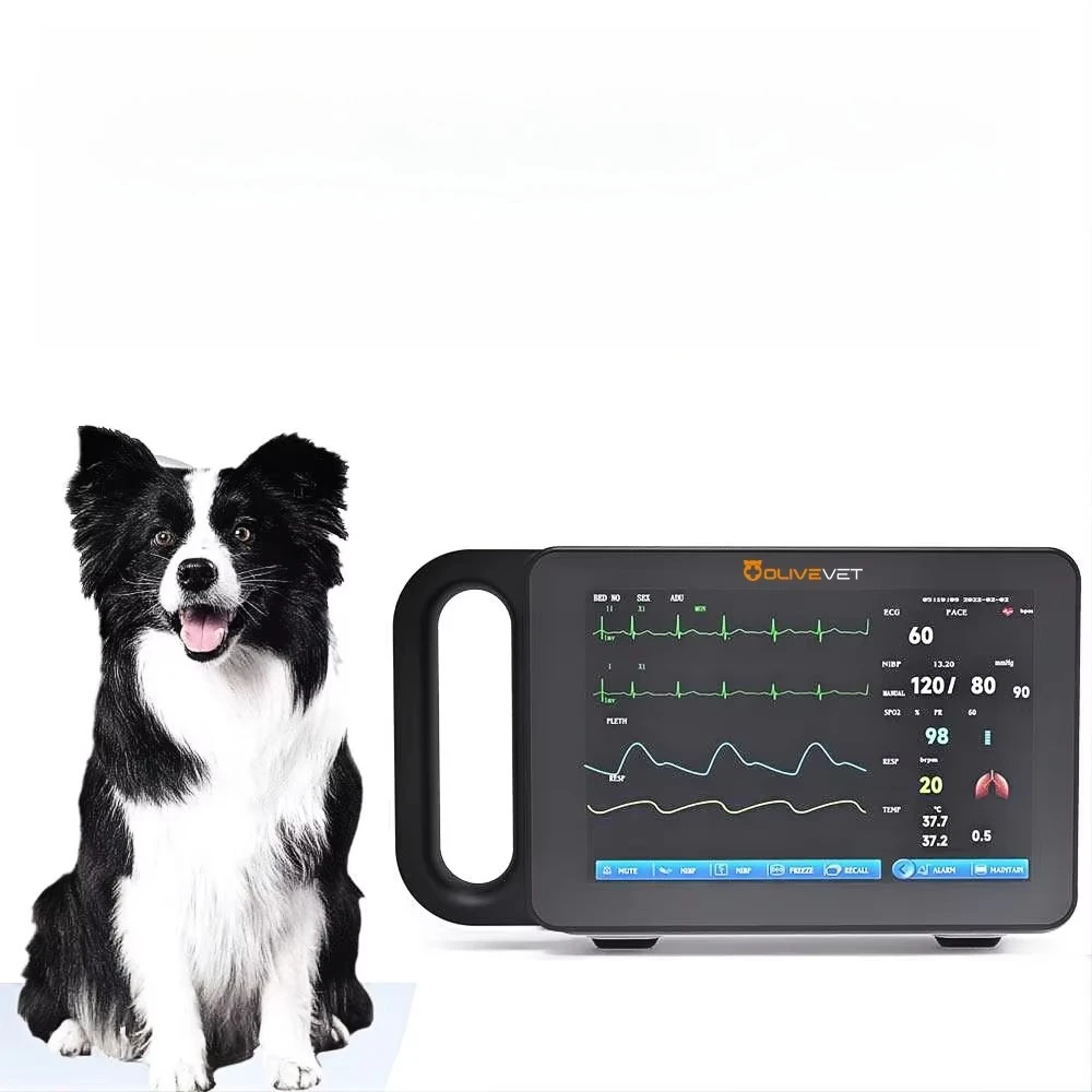 # for Auto Audible Portable Vital Signs ECG SpO2 NIBP TEMP RESP Animal Hospital Equipment Veterinary Multiparameter Monitor