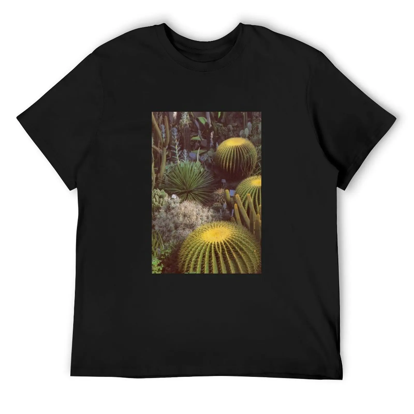 

Desert Cacti / Vintage Film T-Shirt customs design your own summer top sports fans mens workout shirts