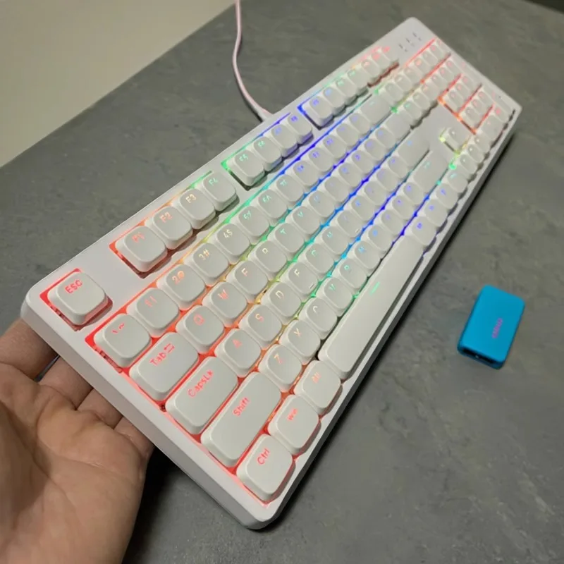 Silent Low Profile Mechanical Keyboard Wired Type-C Ultra-thin RGB Hot-Swap Minimalist Custom 100% Office Gaming Keyboard Gift