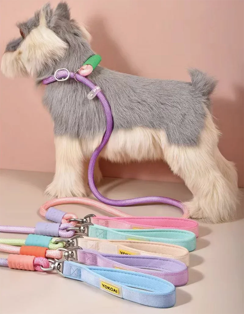 

Gradient Anti-Pull Dog Leash & Collar Set, P Chain Training Lead for Dogs, No Choke Pet Dog Leash P Chain Collar Pet Supplies