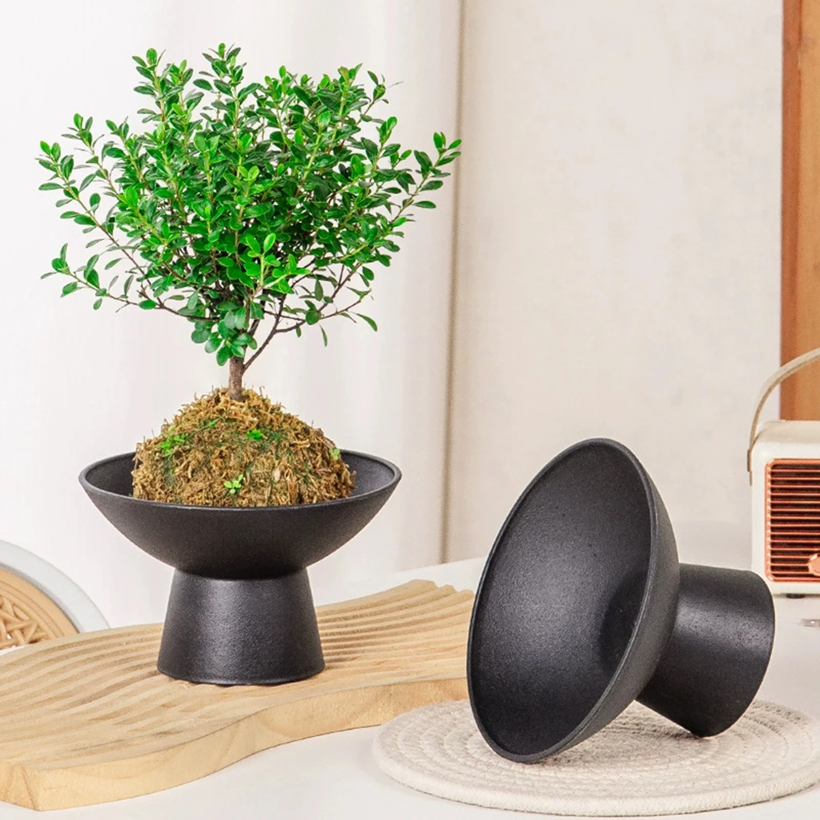 Kokedama Tray Elegant Desk Decor for Plant Lovers Hollow Bottom PP Plastic Base for Fern Orchid Bonsai Indoor Pot Holder