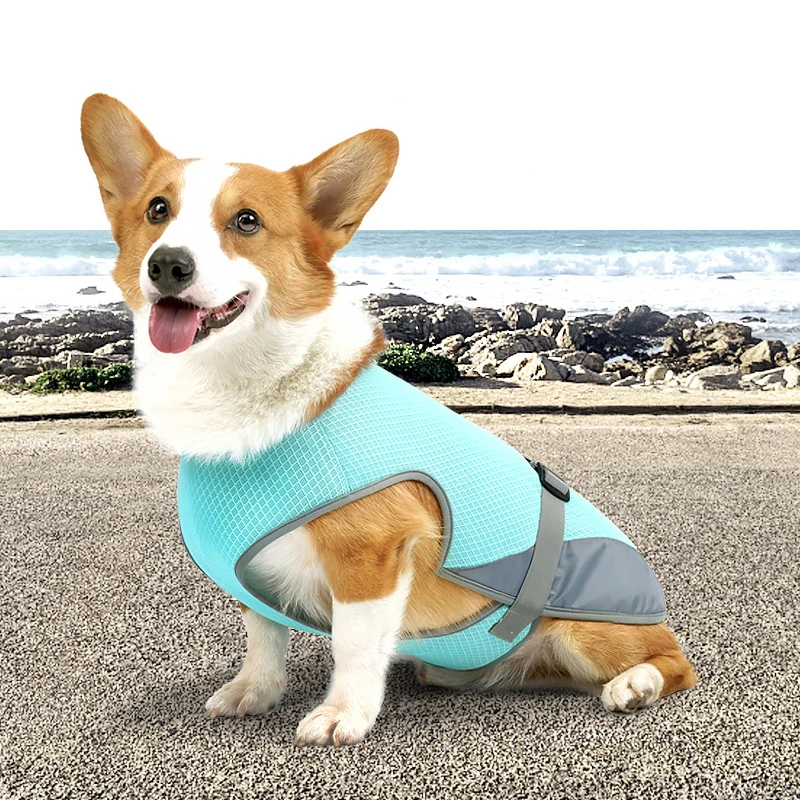 

Dog Cooling Vest Lightweight Breathable Heatstroke Prevention Adjustable Jacket for Summer Outdoor Hiking Walking Dogs Supplies