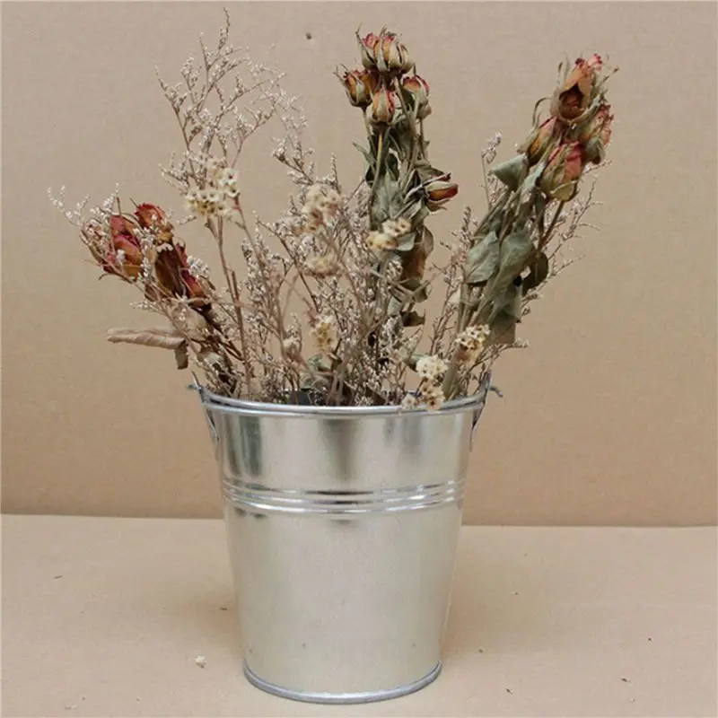 ABWZ-12 Pieces Meaty Small Bucket Meaty Small Iron Bucket Iron Bucket Flower Pot With Handle, Flower Shop