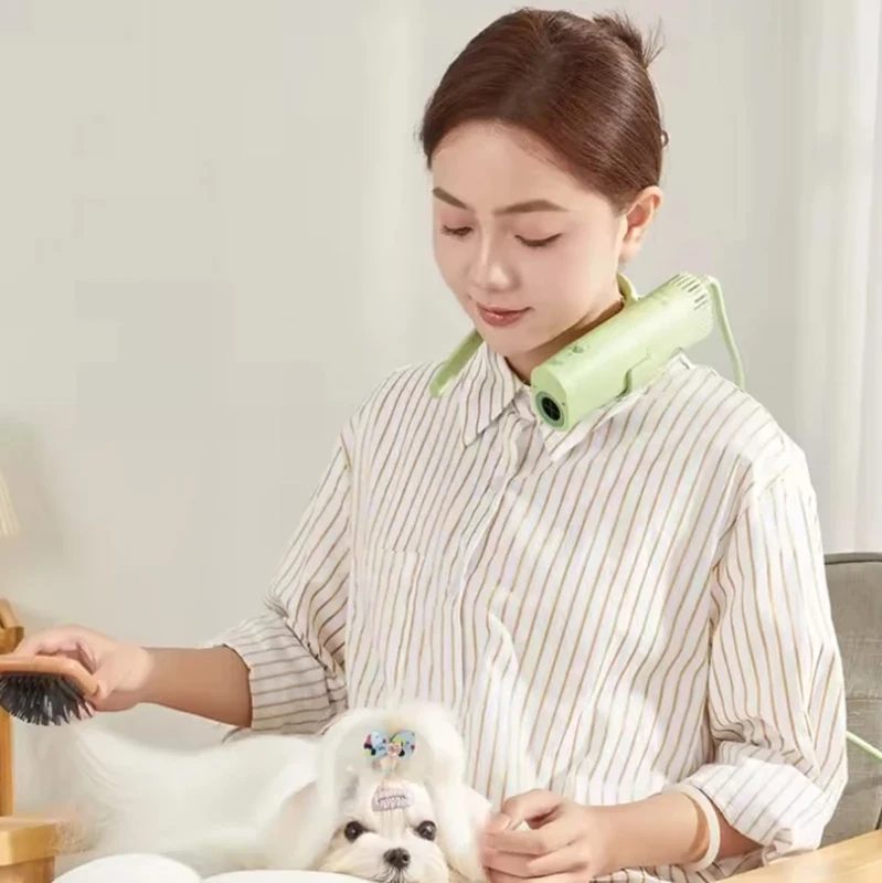 Secador de pelo para el cuidado de mascotas, alta potencia, silencioso, ahorro de energía, belleza para perros, cabello de secado rápido, solo adecuado para países con 220V
