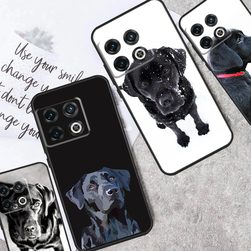 Black Labrador Dog Case For OnePlus Nord 3 2T N30 N20 N10 CE 2 Lite OnePlus 10T 12R 10R 8 9 10 Pro 11 12 Cover