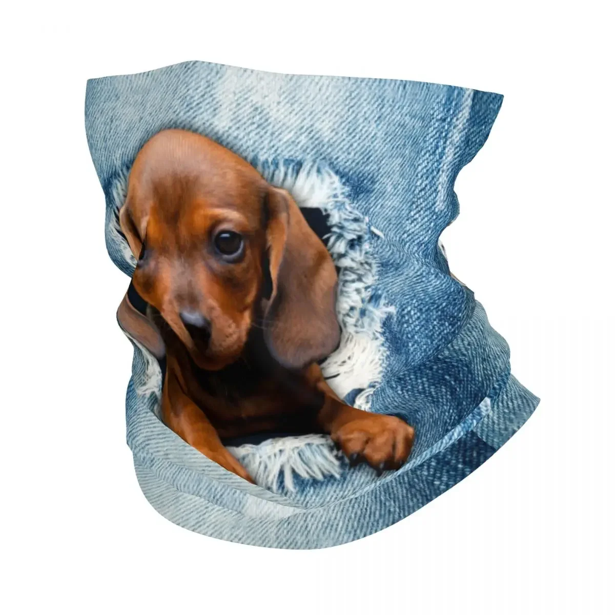 Dachshund Dog Torn Jean Bandana Neck Warmer Men Women Winter Hiking Ski Scarf Gaiter Wiener Badger Sausage Dog Face Cover