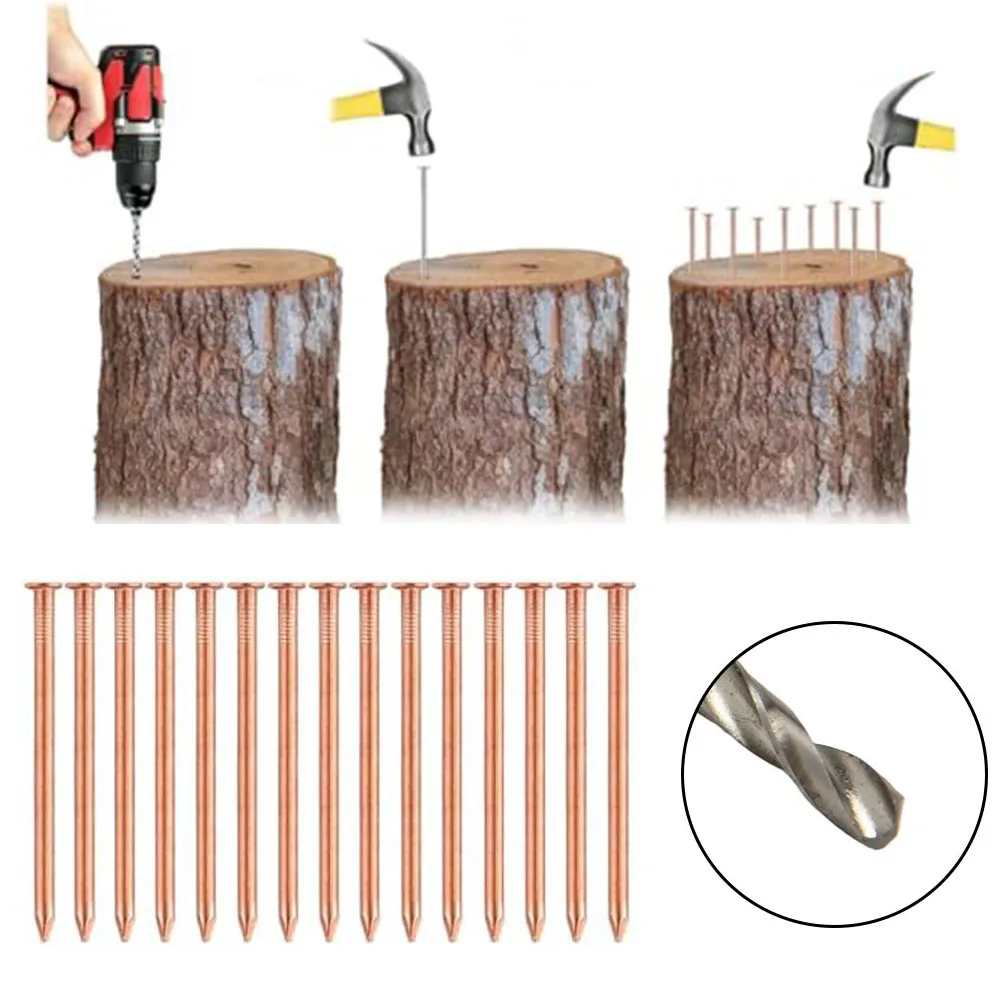2-Inch Solid Copper Nails For Tree Stumps – Root Targeting Spikes For Stump Removal, Garden Hardware (15 Pack)