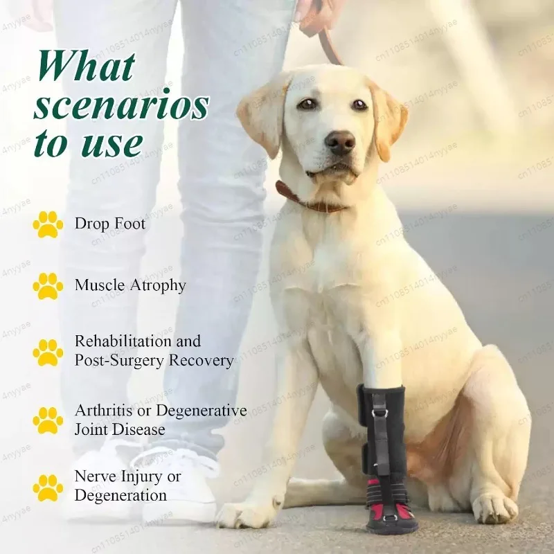 Anti Slip Dog Shoes Breathable Durable Pet Boots For Small Medium Large Dogs Paw Protectors For Indoor Outdoor Walking Running