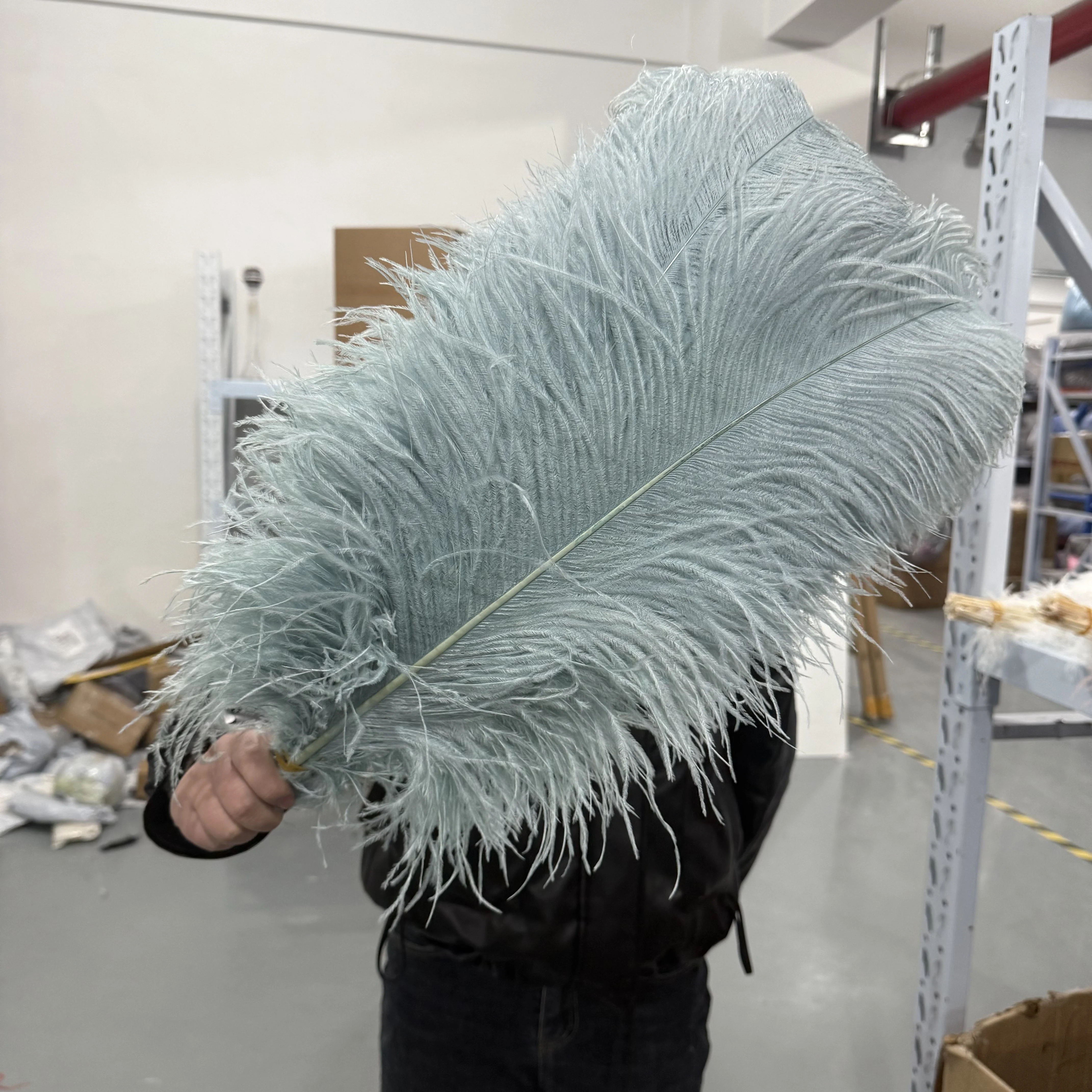 Plumes Autruche Artisanat DAZZLEEX Lot De 10 Plumes D'Autruche Blanches - Accessoires Décoration Mariage, Table, Vase Et Loisirs Créatifs