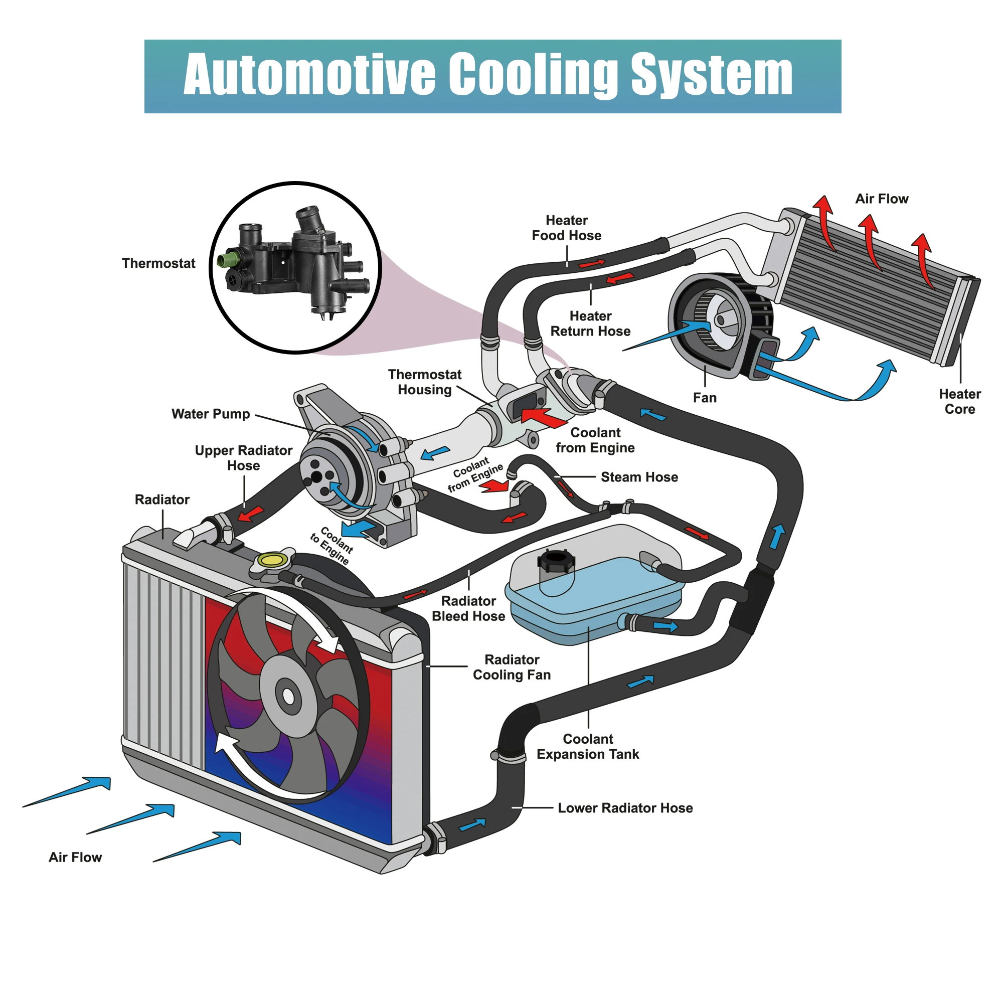

X Autohaux Engine Coolant Thermostat Housing Assembly 032121111BA for Volkswagen Golf