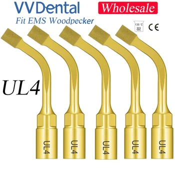 V-歯科用の外科用インサート,木工用の外科用器具,日曜大工,歯磨き粉,4,卸売り,1セットあたり5個