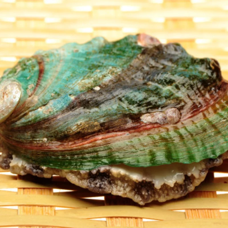 เพลาหน้าและหลัง 2 ชิ้น สำหรับรถของเล่น HB รุ่น ZP1001 ZP1002 ZP1003 ZP1004 ZP 1001 ขนาด 1/10 อะไหล่รถบังคับวิทยุ