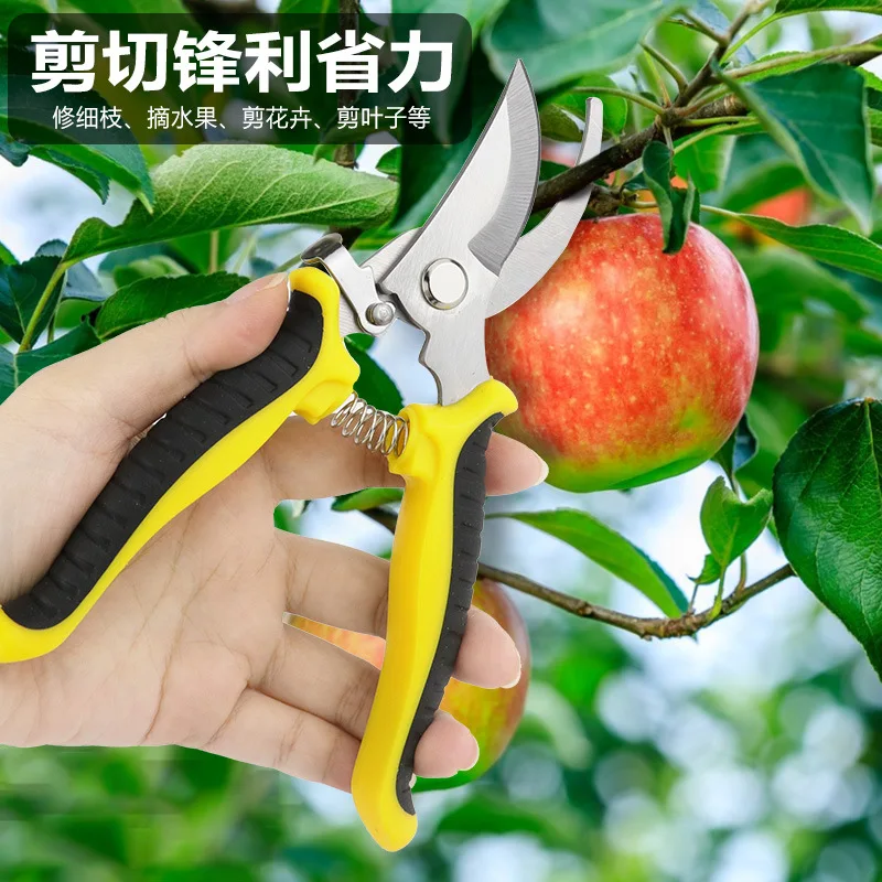 Garden fruit tree flower branch scissors, stainless steel curved cut garden pruning tools, fruit picking scissors gardening graf