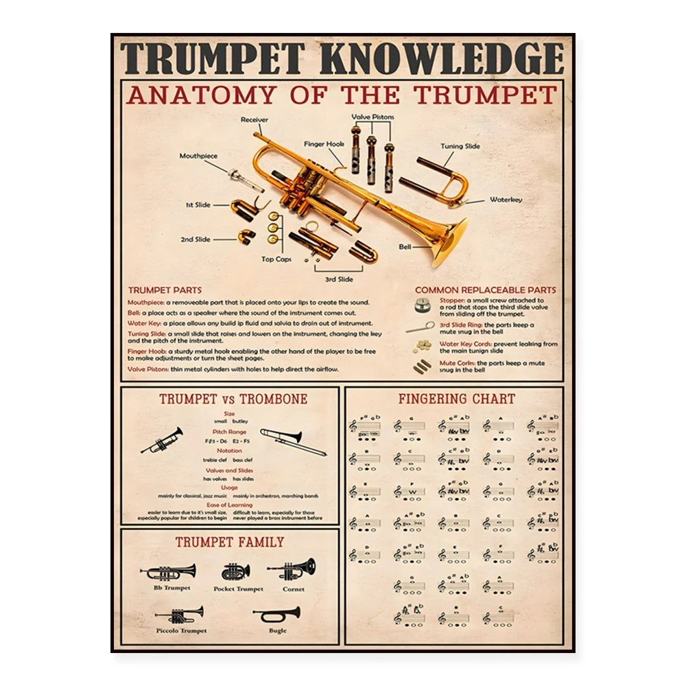Trumpet and tuba information poster, trumpet, tuba and sound effects, tuba fingering chart, anatomy, gift for musicians