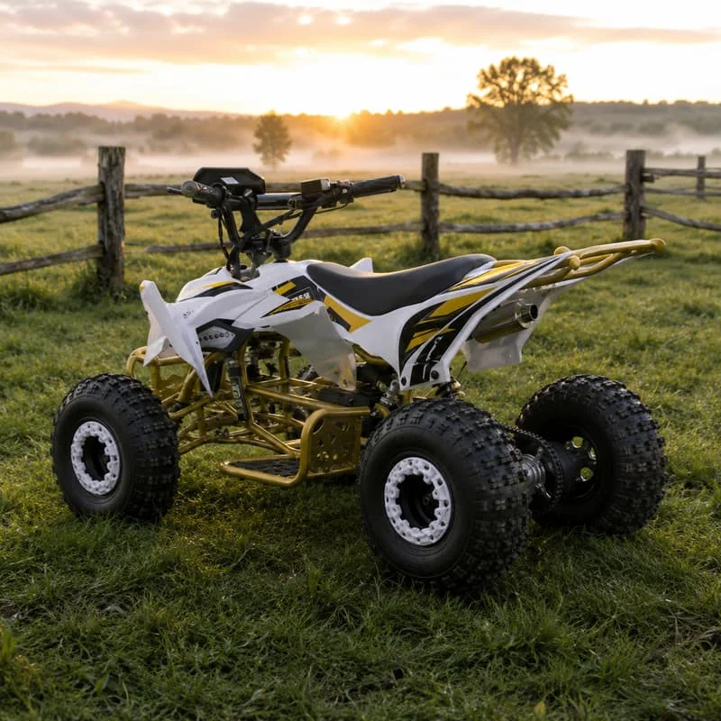 Customized Adult Offroad Buggy Four Wheel ATV Sport Quad Bike All Terrain Adventure Vehicle Trail Ready Performance