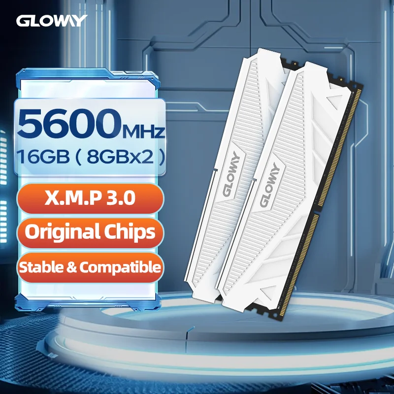 Gloway memoria ram ddr5 16gb 5600mhz desktops 16gb ram ddr5  8GBX2pcs kit Dual Channel Desktop Ram For pc gamer