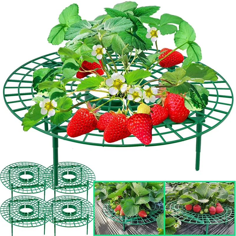 

Strawberry Supports Plant Growing Racks Strawberry Growing Frame with Adjustable 4 Sturdy Legs Keeping Fruit Elevated Holder