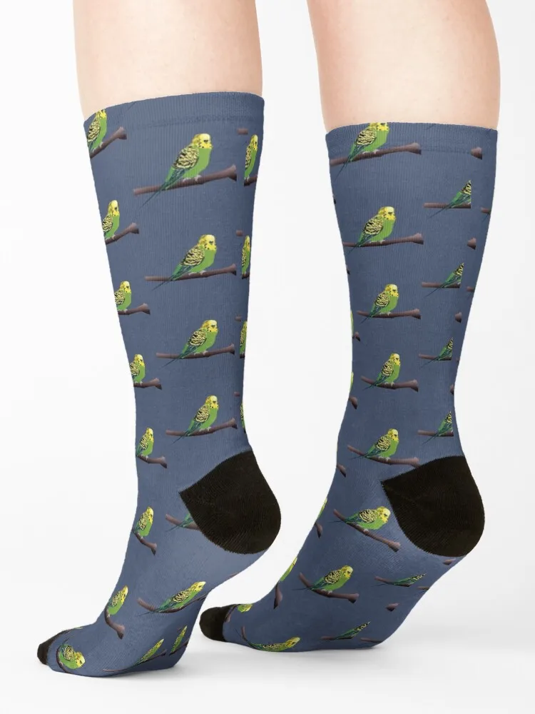 Green Parakeet/Budgie Socks christmas gifts funny sock moving stockings anime Socks For Men Women's