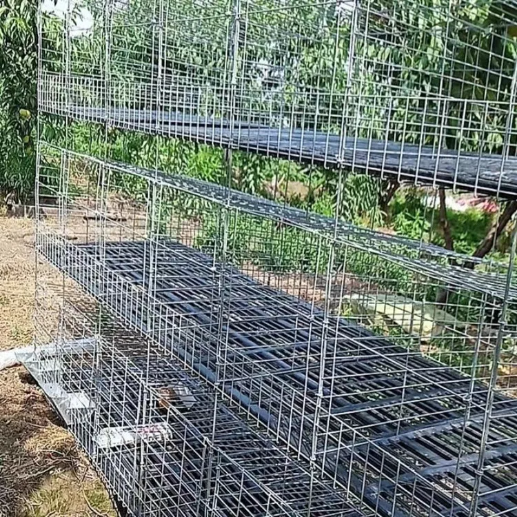 Best Price Breeding Rabbit House Rabbit Cage Tube 1 Set Rabbit Cage More than 7 Years Feeder Drinker GF-RC001 Provide 40 Metals