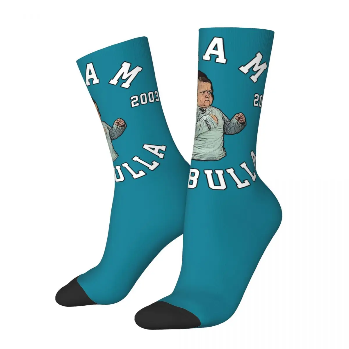 3D printing cosy Unisex Socks,Hip Hop Hasbulla Fighting Interesting Four Seasons Socks